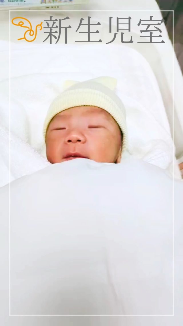 みんなで夢の中へ。
どんな夢を見ているのかな?
それぞれの寝顔に、たくさんの愛を感じます。
この寝顔が、健やかな未来につながる第一歩。
ゆっくりと、大きく育ってね☘️
#すずきレディースクリニック #郡山産婦人科 #郡山市 #新生児 #寝る子は育つ