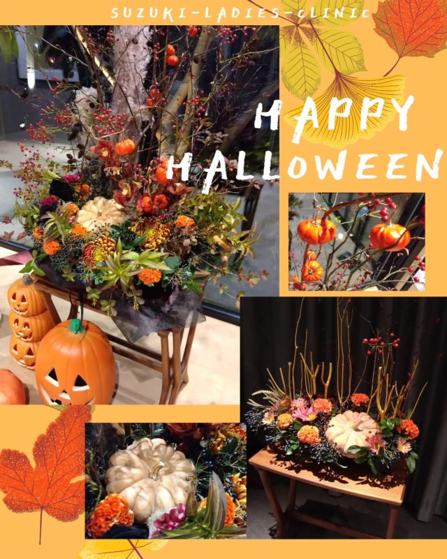 【✿Halloween✿🎃】
今年も、「花のしたく」さんのHalloween用の生花が届きました🎃
1階エントランスと2階待合スペースに、それぞれひとつずつ飾られています❀
ご近所にいつも素敵なアレンジをしてくださる、お洒落な花屋さんがあることに感謝です!
クリニック内、イベント毎のお花アレンジ❀お花ひとつで、エントランスや待合室が季節感ある空間へと変化し、患者様もスタッフも楽しませてもらっています🎃
アレンジメントの中に、可愛いミニかぼちゃや、白かぼちゃがも顔をのぞかせているので🤭ご来院の際、探してみてくださいね
すずきレディースクリニック
2020年末郡山市八山田に新規開院
#すずきレディースクリニック#ハロウィン
#郡山産婦人科 #郡山出産 #郡山里帰り出産 #立ち合い出産 #無痛分娩#八山田 #おいしい食事 #新生児フォト #立ち合い出産 #無痛分娩 #新生児 #産婦人科 #郡山おしゃれな建物 #郡山新築 #郡山市 #本宮市 #大玉村 #田村市 #二本松市 #三春町 #小野町 #猪苗代町
 
すべての女性と子どもたちの未来のために
http://suzuki-ladies-clinic.jp/